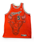 Vintage NBA Chicago Bulls Jersey